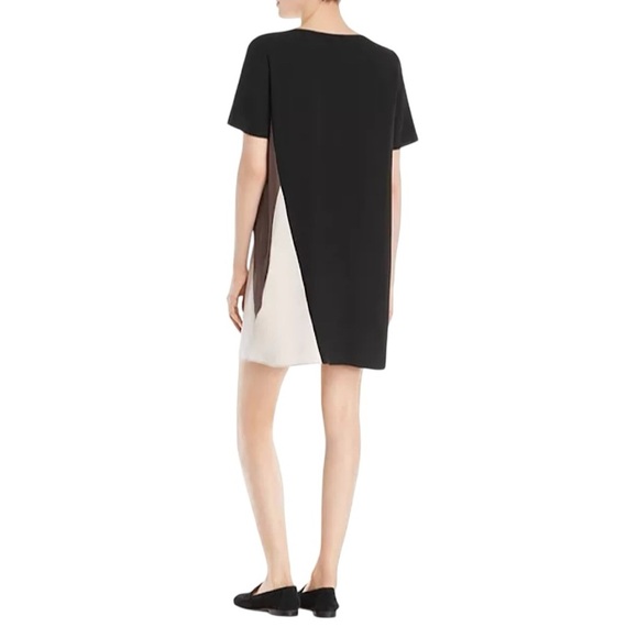 EILEEN FISHER Silk Georgette Crepe Color Block Shift Dress - Picture 5 of 13